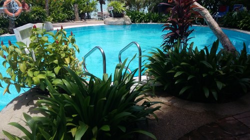 20161007_122800-kopi