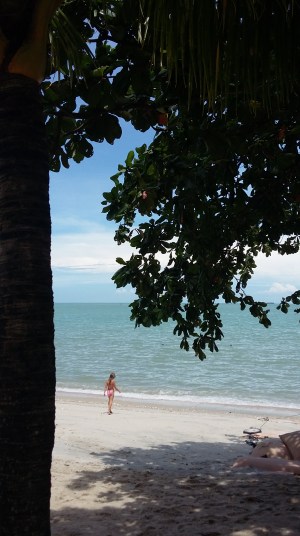 20161007_123007-kopi