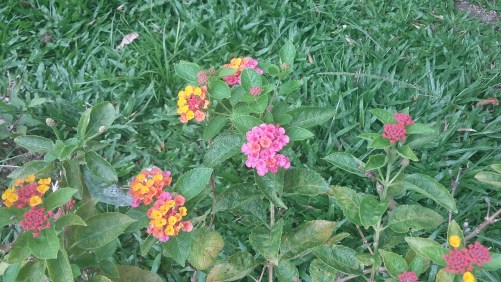 20161008_135330-kopi