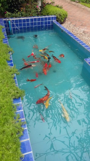 20161018_094327-kopi